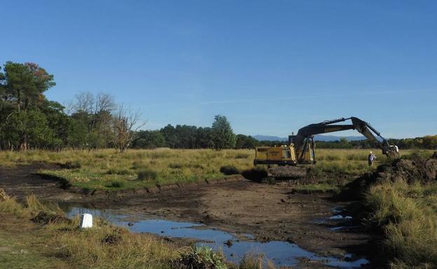 La laguna de Cantalejo consigue resultados «notorios» en su recuperación