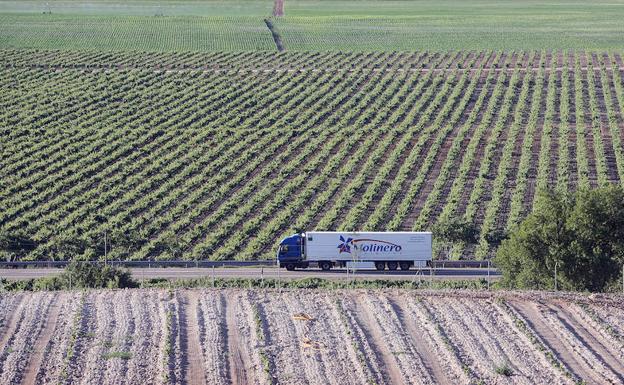 Los afectados por las expropiaciones de la A-11 entre Quintanilla de Arriba y Tudela ya pueden alegar