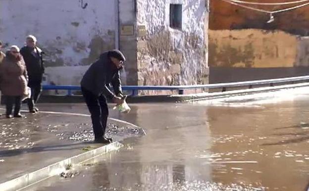 Recogen peces a mano en plena calle en Miranda de Ebro