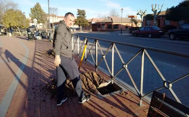 Cultivando Olmedo amplía su campaña de plantación de olmos en la localidad  