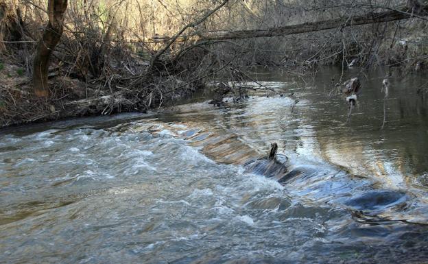 El alcalde afirma que Medio Ambiente no ha detectado vertidos en el Cega