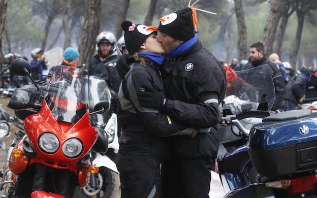 El retratista de Pingüinos