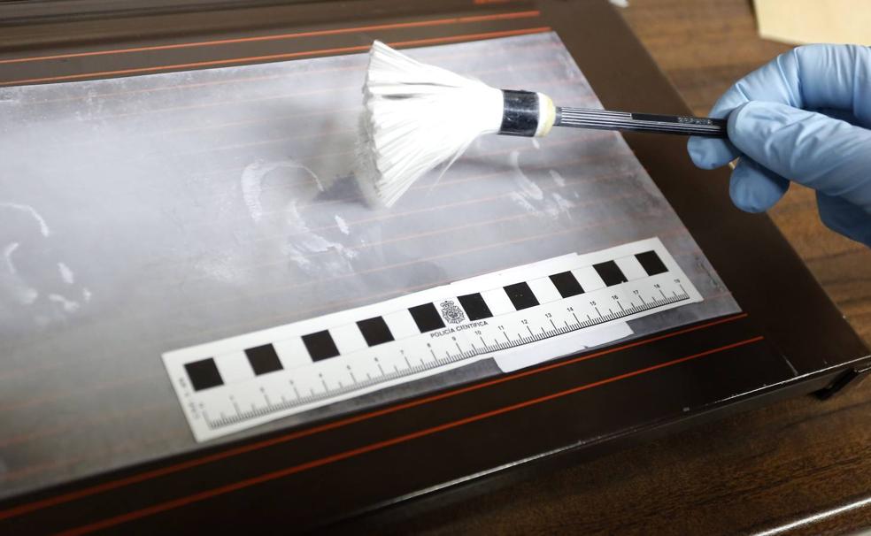 Cazar al ladrón, una cuestión de orejas