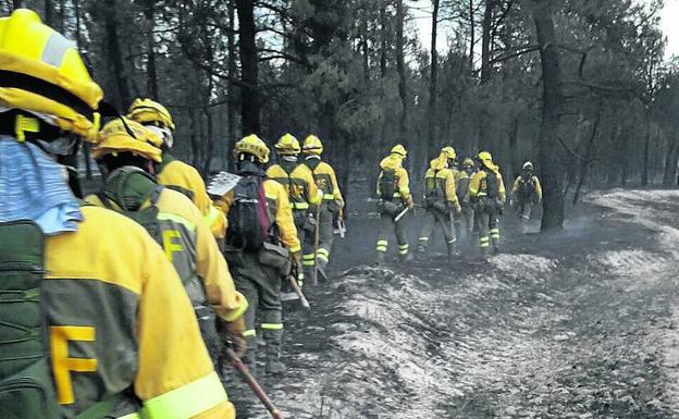 La Junta destina 400.000 euros para restaurar el pinar destruido en Navalilla