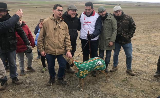 Pelaya de Safesa, campeona de España de Galgos