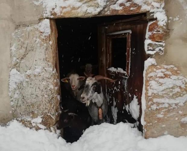 La nieve deja incomunicados a decenas de pueblos leoneses