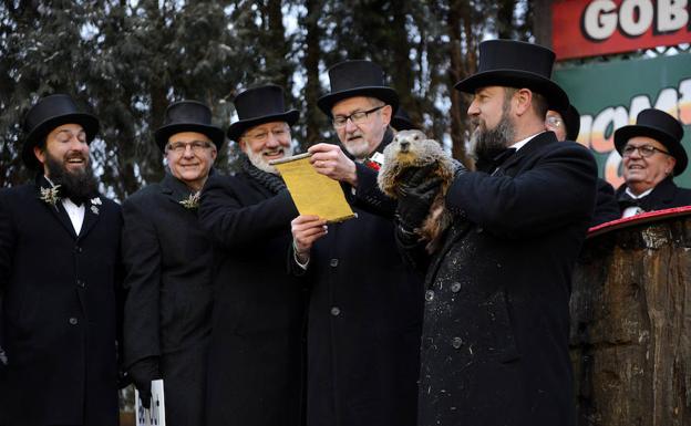 La marmota Phil predice que la primavera llegará pronto a EE UU