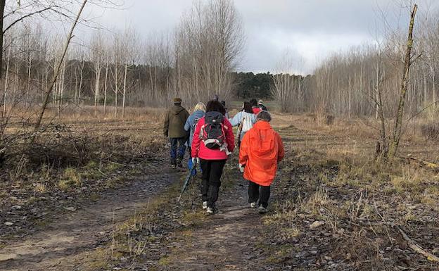 Prodestur promocionará el Camino de Santiago en la Feria Fairway