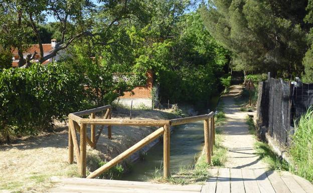 El Ateneo Sociocultural lagunense organiza un paseo guiado por la acequia