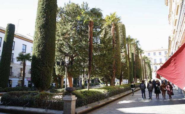 El tejido urbano de Salamanca se oxigena con 80.000 árboles y 435 zonas verdes