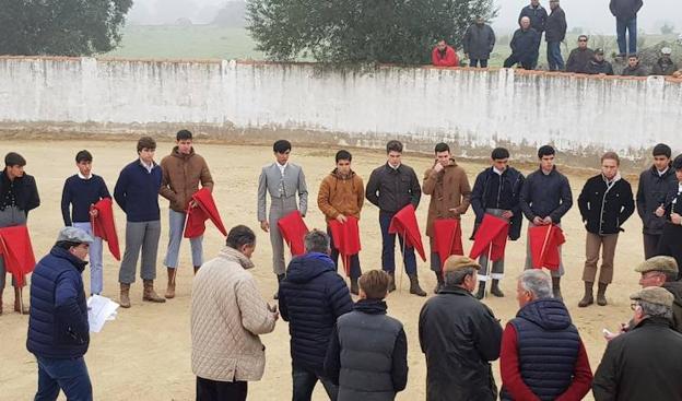 Buen juego de las vacas de Adolfo Martín en el Bolsín Taurino de Ciudad Rodrigo
