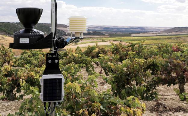 La bodega Emilio Moro, premio a la Innovación Tecnológica para la Mejora de la Productividad