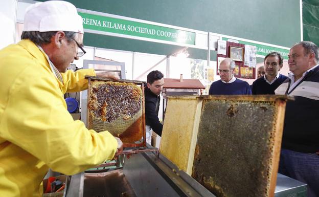 La Feria Apícola de Aldeatejada arranca con ponencias técnicas, talleres infantiles y degustaciones
