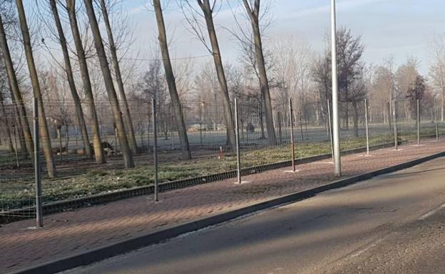 El paseo de la Alameda de Ciudad Rodrigo ganará 22 aparcamientos tras la obra
