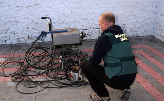 Tres cerdos ibéricos, parte del botín de los robos en tres granjas de Mozoncillo