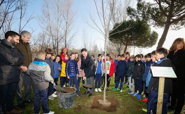 Las zonas verdes de Salamanca se revitalizan con 93 olmos sin grafiosis