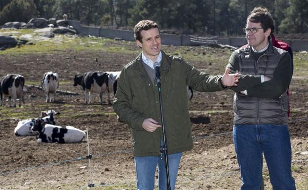 Pablo Casado: «Estoy convencido de que Silvia Clemente no quiere hacer daño al PP»