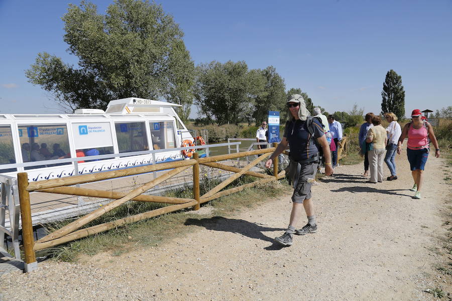 Un encuentro del Camino de Santiago en Palencia da voz a los peregrinos extranjeros