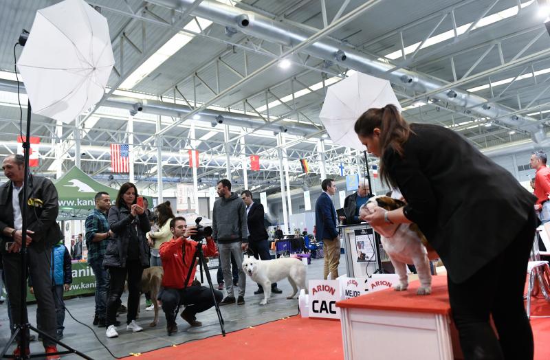 Nueva edición de Fimascota en la Feria de Valladolid