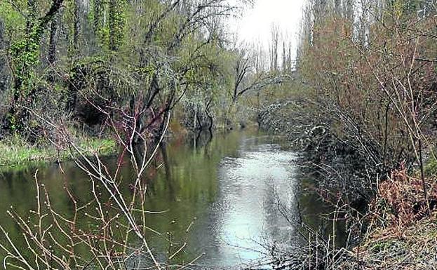 El Espadañal teme por el futuro del río Cega