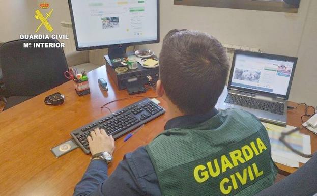 Detienen a tres personas e investigan a dos por estafar en León con venta de cachorros por Internet