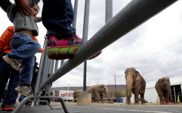 Movilización contra un circo con animales en La Lastrilla