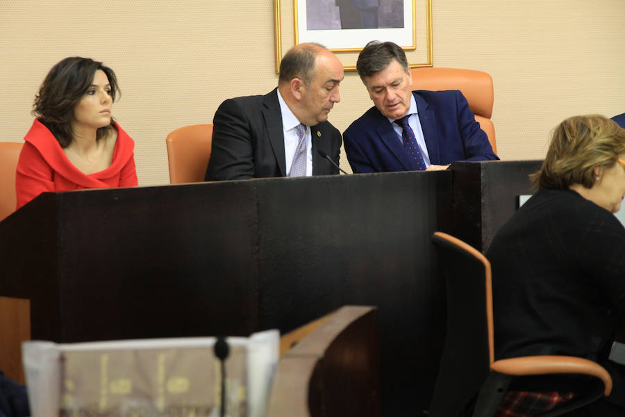 Pleno de la Diputación Provincial