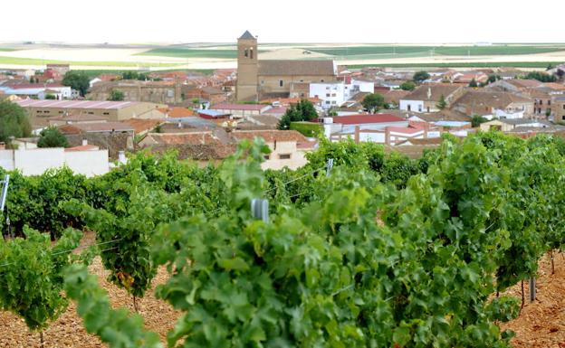 La mujer será la protagonista en La Seca, desde la poda a las labores en bodega