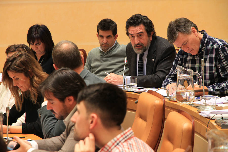 Pleno del Ayuntamiento