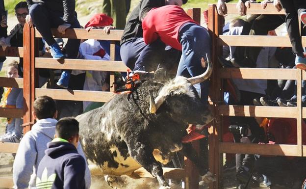 Un hombre de 41 años herido por asta de toro en el encierro de Ciudad Rodrigo