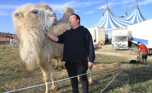 «Un circo sin animales está muerto, no es rentable»
