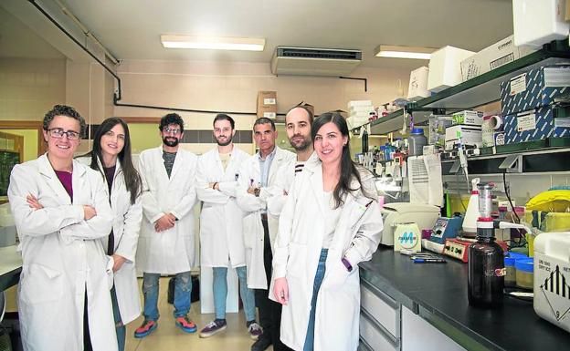 Investigadores de la USAL logran identificar dianas farmacológicas contra la leucemia