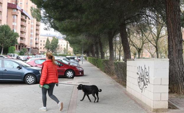 Los bomberos rescatan a un perro atado en el interior de un turismo estacionado en Parquesol