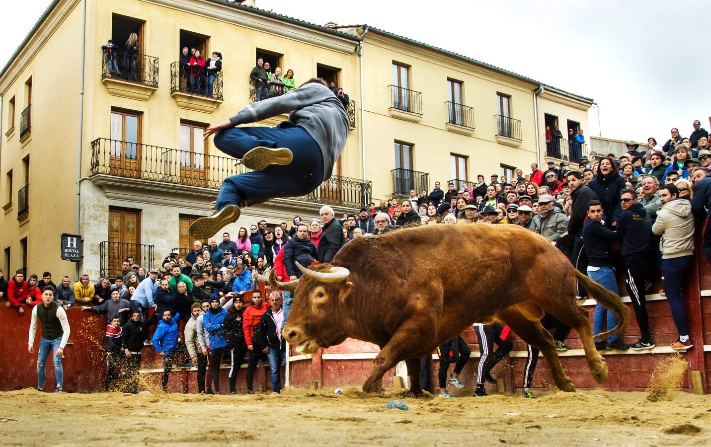 Jornada del martes en el Carnaval del Toro de Ciudad Rodrigo (Salamanca)