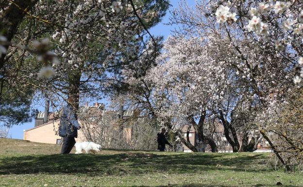 El sol y las temperaturas cercanas a los 20 grados regresarán el sábado a Valladolid