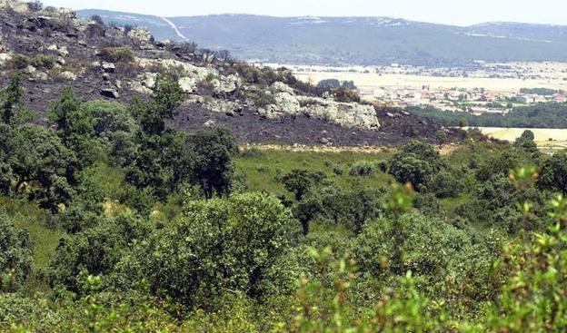 La Reserva de Caza de la Sierra de la Culebra pospone la subasta que iba a celebrarse el sábado