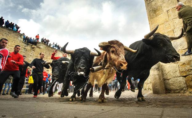 El concejal de Festejos de Ciudad Rodrigo dice que este carnaval «es el que buscaba»