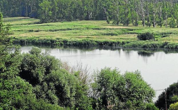 Un fondo de 7,2 millones modernizará 391 hectáreas de regadío en Castronuño