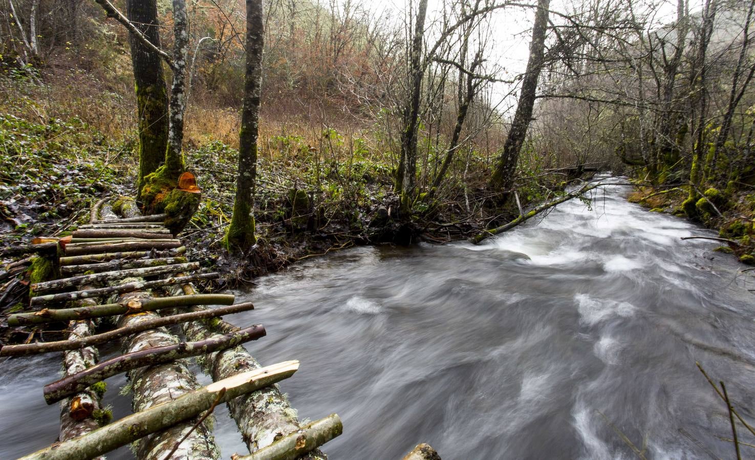 Espacios naturales.. con fundamento (III): Los Ancares Leoneses