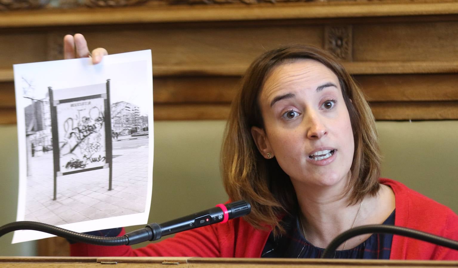 Pleno en el Ayuntamiento de Valladolid