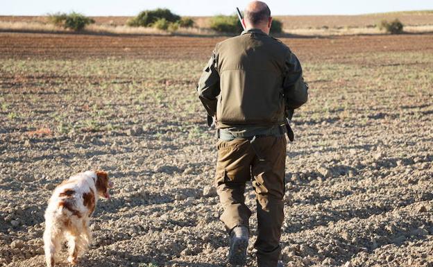 Ecologistas lleva al TSJ a la Mesa de las Cortes por supuesta prevaricación en la Ley de Caza