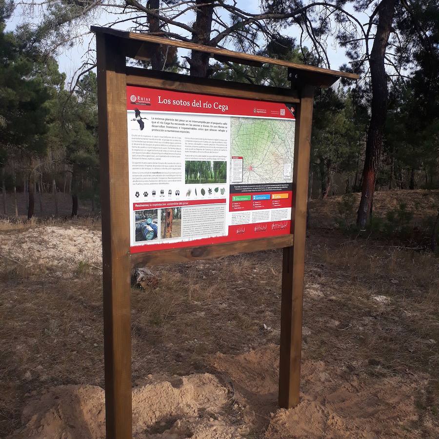 Tres rutas de senderismo muestran el patrimonio natural de Aguilafuente