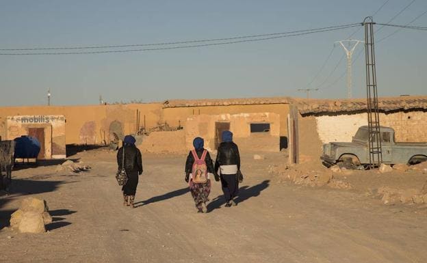 Castilla y León llevará su sistema educativo a los campamentos saharauis
