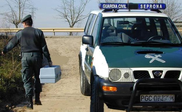 La Guardia Civil investiga a un vecino de San Leonardo de Yagüe por capturar un zorro con un «lazo»