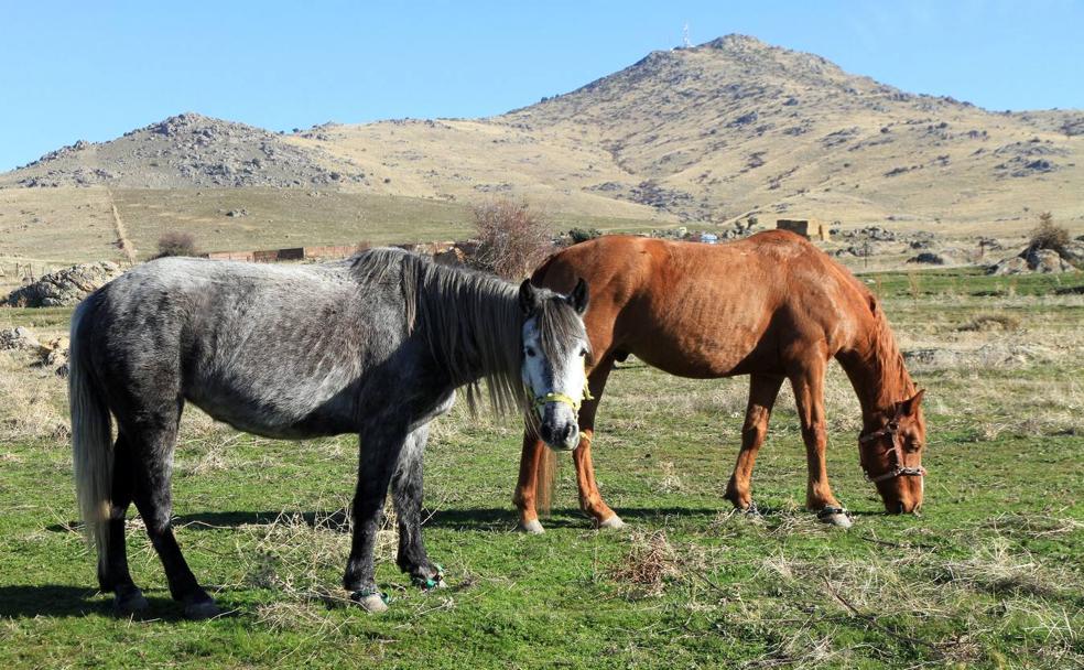 Guadarrama, los mil caminos de la sierra