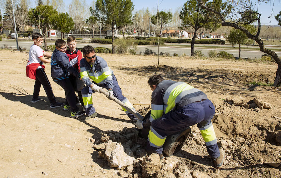 Cerca de 200 escolares celebran el Día del Árbol