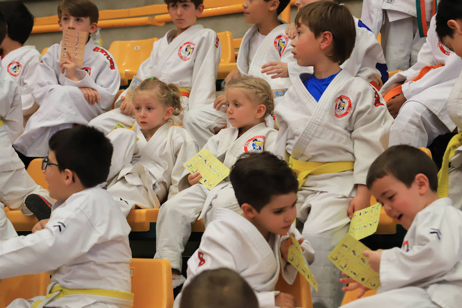 VI Torneo Doryoku de judo en Salamanca (3/3)