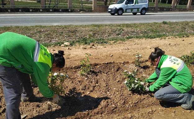 Los alumnos de formación y empleo embellecen el acceso sur de la villa guijuelense