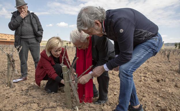 Mensajeros de la Paz visita una bodega en la Ribera del Duero
