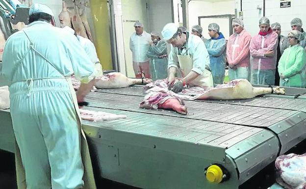 Cantimpalos, fuente de inspiración culinaria